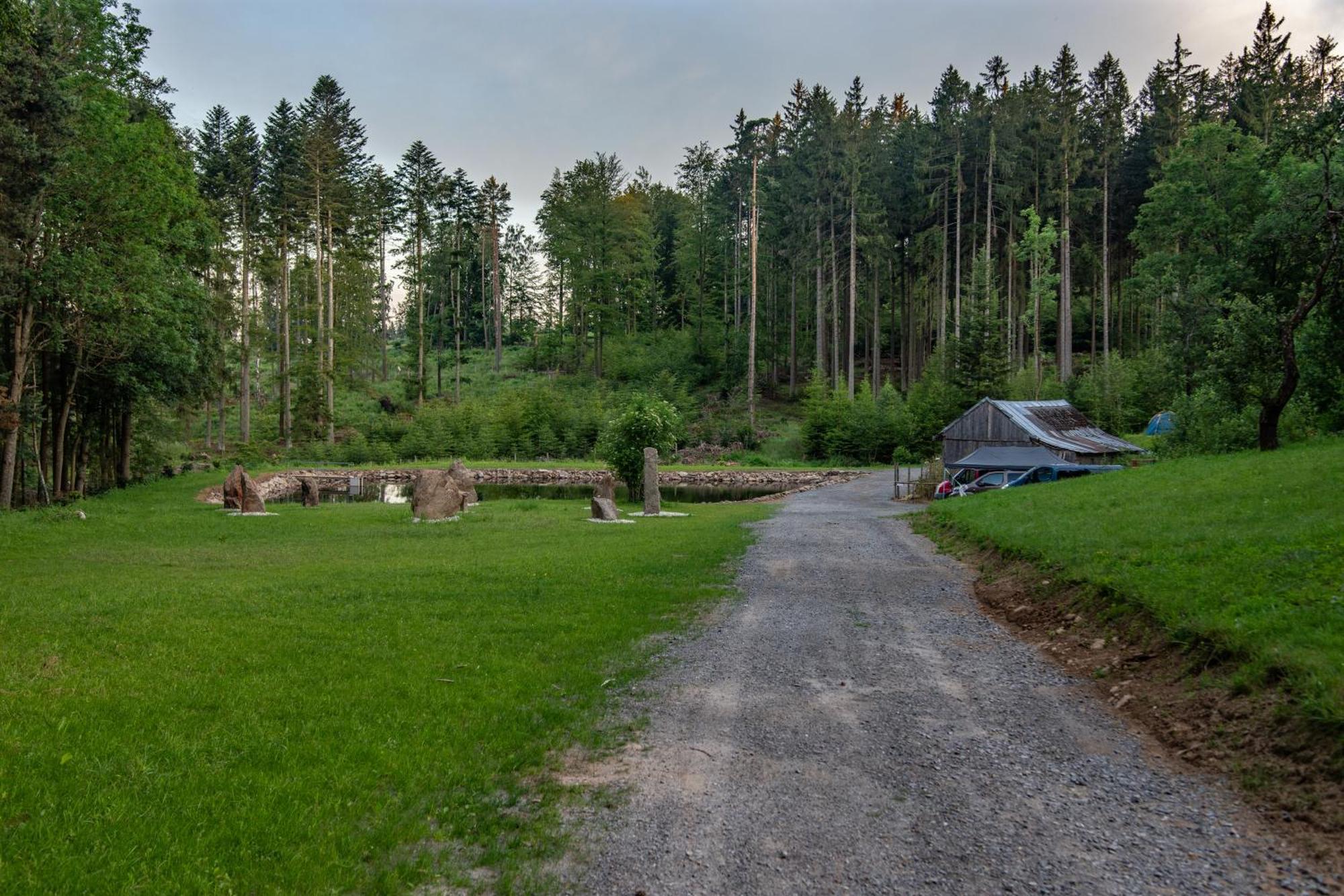 Appartamento Arktik Lesni Mlyn Novy Rychnov Esterno foto